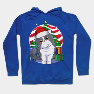 Cute Exotic Shorthair Cat Santa Claus Christmas Hoodie